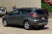 2013 GRAY FORD ESCAPE SE FWD (1FMCU0GX4DU) with an 1.6L L4 DOHC 16V engine, 6-Speed Automatic transmission, located at 900 East Davis Street, Conroe, TX, 77301, (936) 539-9909, 30.314880, -95.446770 - Photo#2