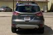 2013 GRAY FORD ESCAPE SE FWD (1FMCU0GX4DU) with an 1.6L L4 DOHC 16V engine, 6-Speed Automatic transmission, located at 900 East Davis Street, Conroe, TX, 77301, (936) 539-9909, 30.314880, -95.446770 - Photo#3