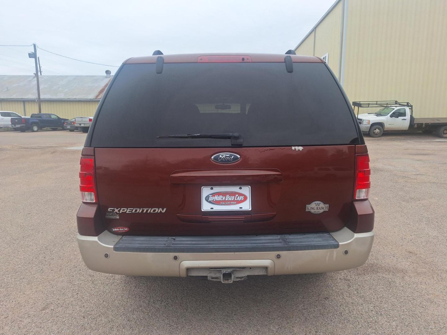 2006 BROWN /Brown Leather FORD EXPEDITION Eddie Bauer 2WD (1FMPU17596L) with an 5.4L V8 SOHC 16V engine, 4-Speed Automatic Overdrive transmission, located at 900 East Davis Street, Conroe, TX, 77301, (936) 539-9909, 30.314880, -95.446770 - Photo#3